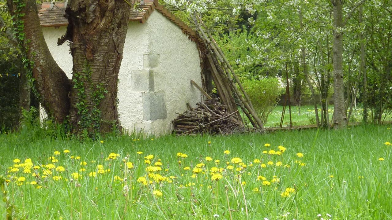 Le Logis Alexandra Bnb La Trimouille Exterior foto